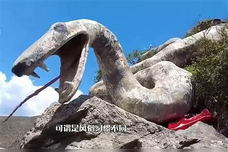菊花能放在室内吗,可以/能招财运福运/延长寿命/净化空气