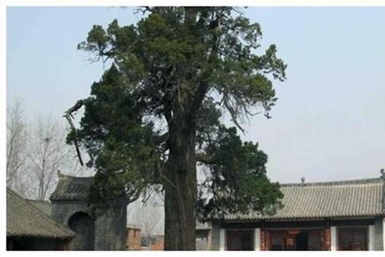 洛阳好的陵园推荐一下？