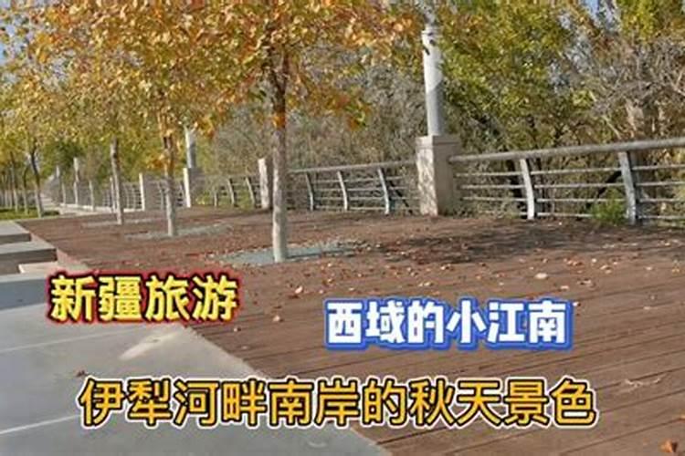 老尼姑可以回家住和往生吗？