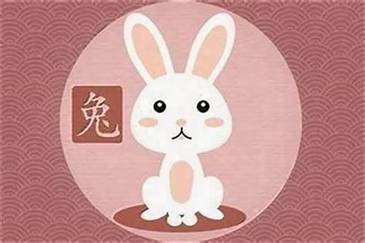 属兔人适合哪个方向 属兔人幸运方位