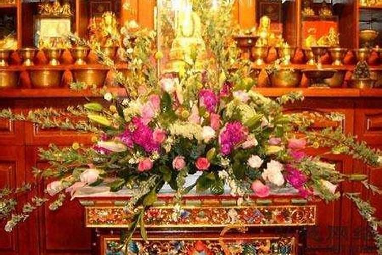 公司佛堂绿植怎么摆放最好风水？