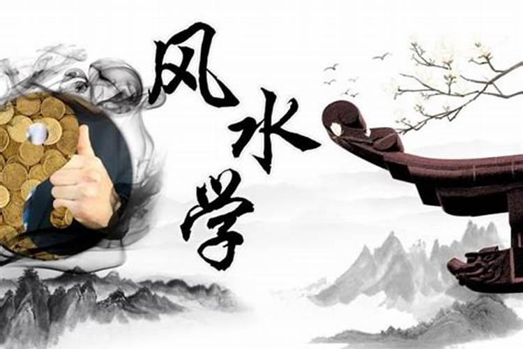 风水师装傻是哪部小说