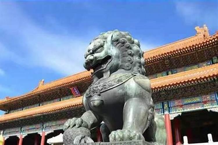 为何风水先生不敢点龙脉