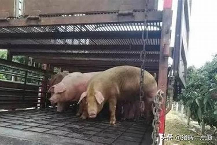 房子风水主要看什么？
