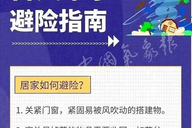 养猫封窗怎么封 如何防止猫跑