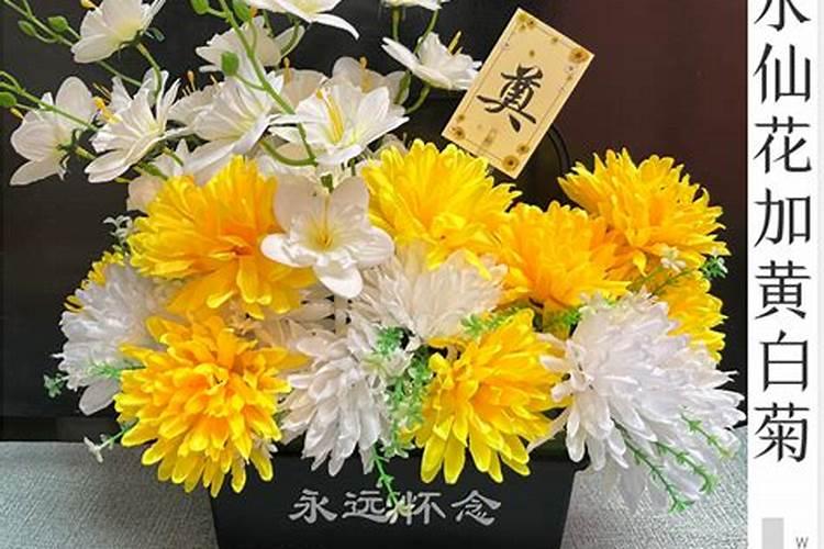 为什么不能摆三盆花  三盆花代表什么意思