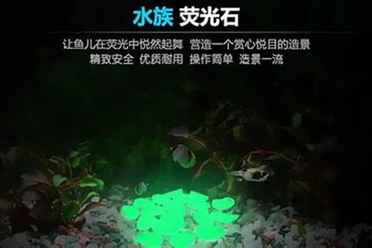 赶走坏男人带来好桃花,单身女的风水宝典