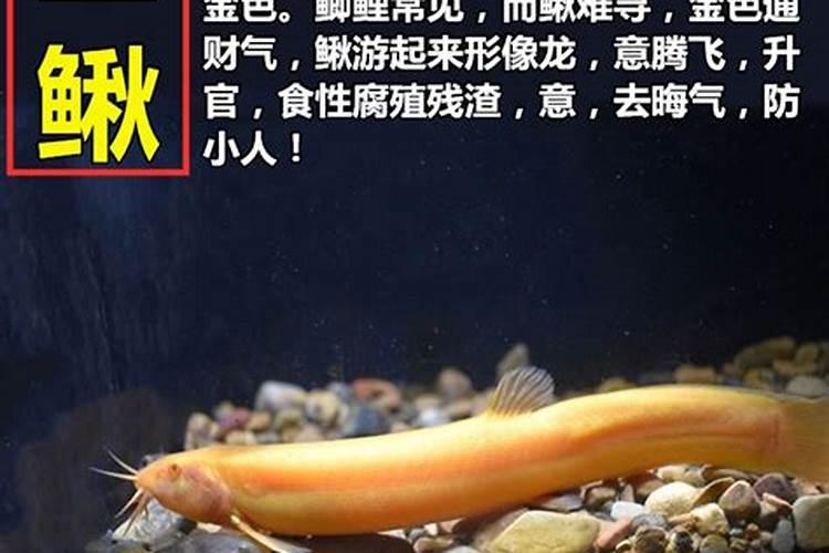 风水地泥鳅形一个穴位能葬两个人的骨头吗？请大师帮忙指点一下我好...