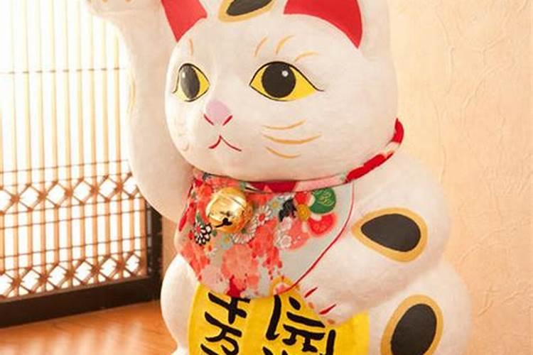 招财猫摆在家里哪里好招财猫摆在家里什么地方好