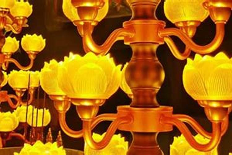 宝莲灯花摆在家里哪个位置好