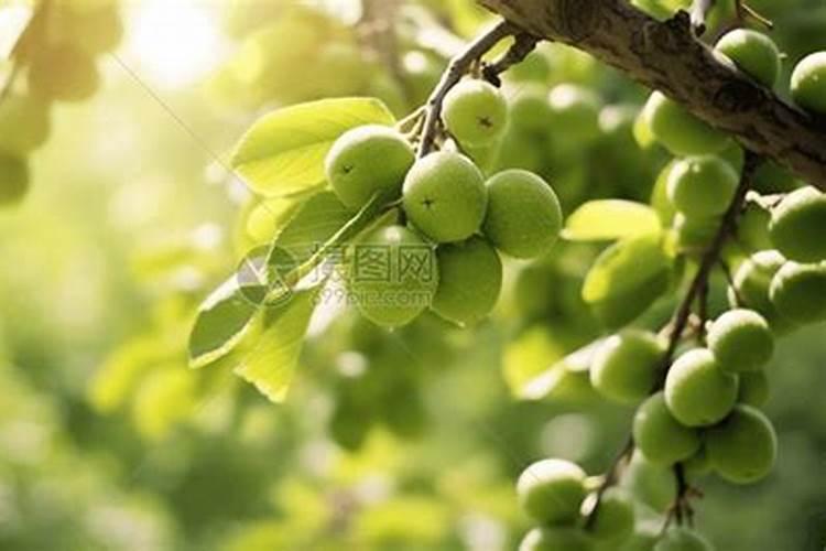 梦到花圈少了一朵花预示着什么？