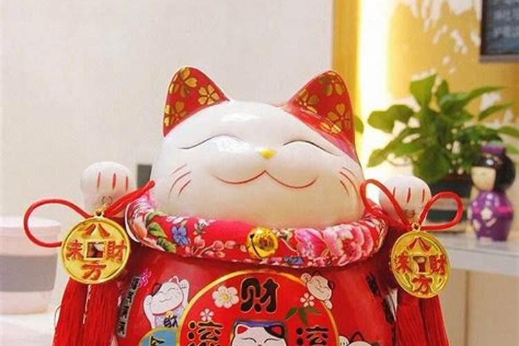 命运学别人家的黑猫趁我们开门溜进我家,风水不好了该怎么办,我该怎样化...