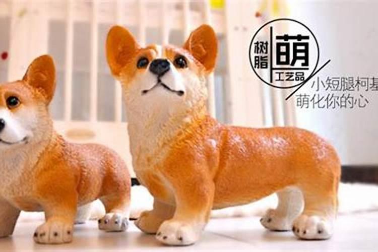 家里种枸杞树风水好吗