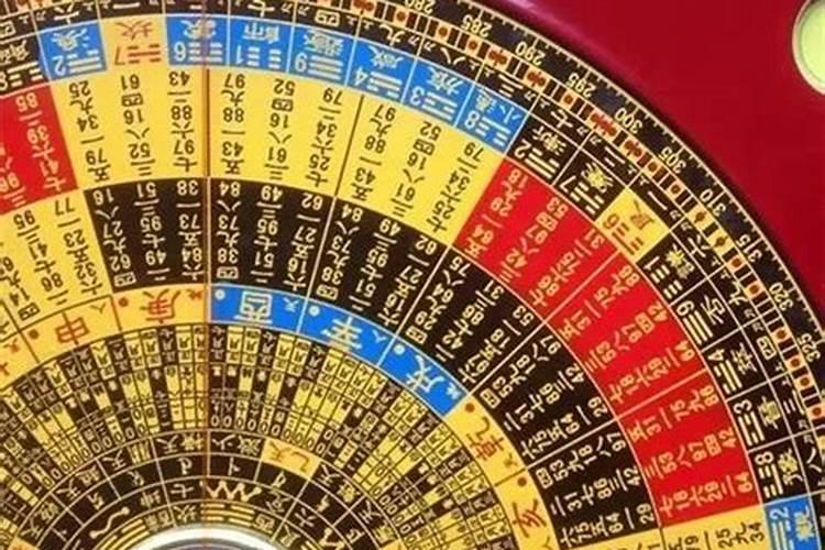 招财树与风水
