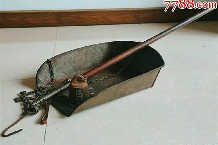 办公室摆放什么植物会旺风水 办公室摆放什么植物好