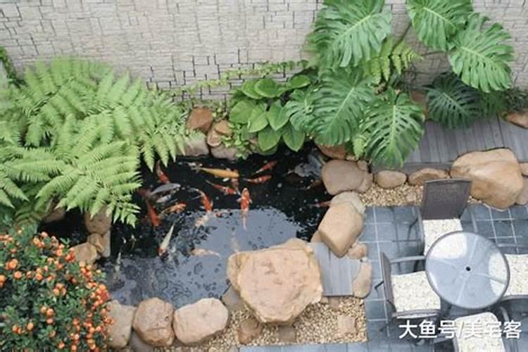 迎壁墙下面建个小鱼池好吗风水