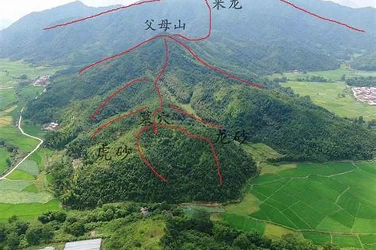 客厅墙面处理方法