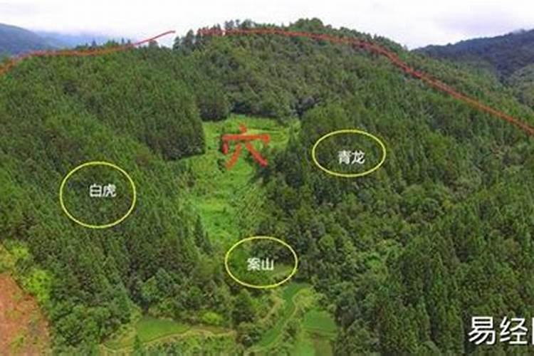 中国风水大师十大排名