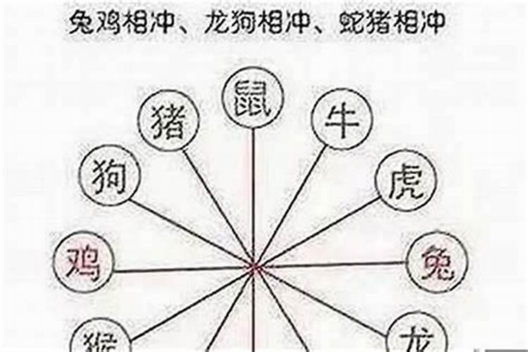 办公室装修设计效果图常见三种风格