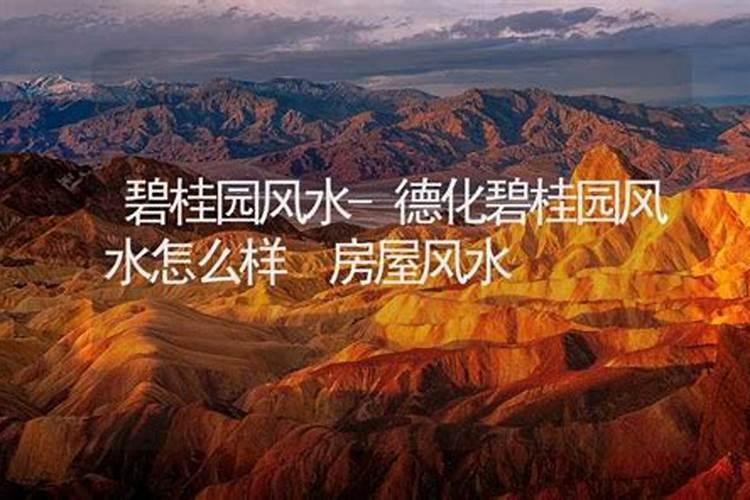 什么风水最旺财运女人
