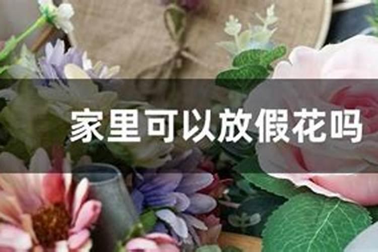 干花其实不影响风水