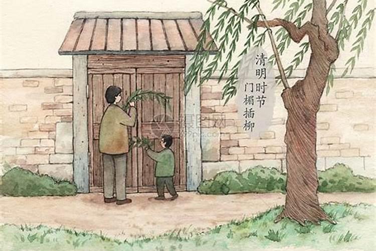 在古代盗墓贼为什么不敢盗长有柳树的坟墓？