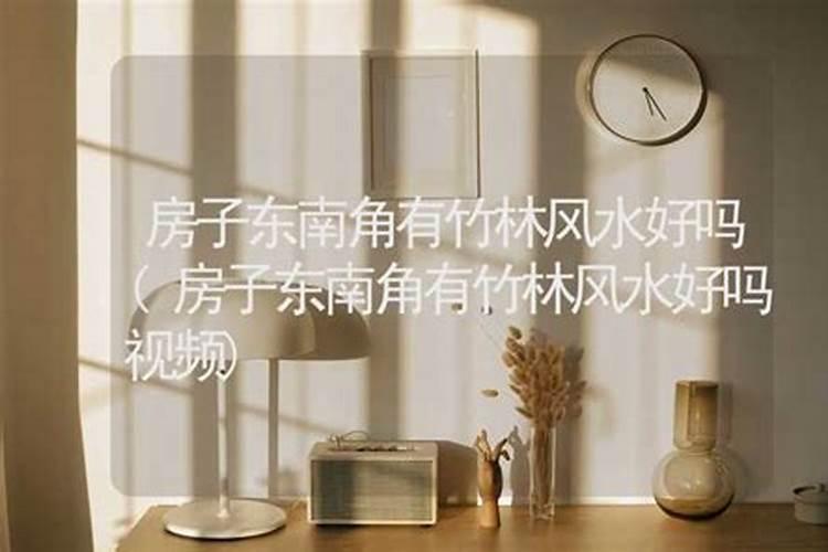 房子门前有竹林会影响风水吗 有什么讲究？