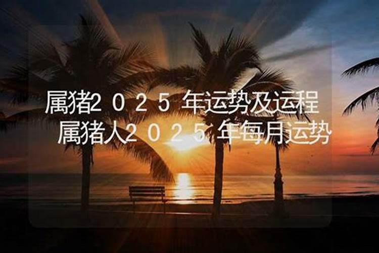 属猪的人办公室风水讲究有哪些？