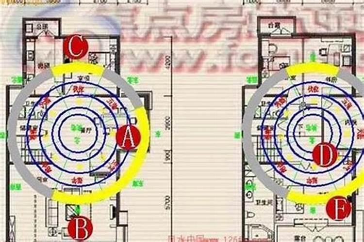 少年风水师知乎评论,少年风水师简介书评