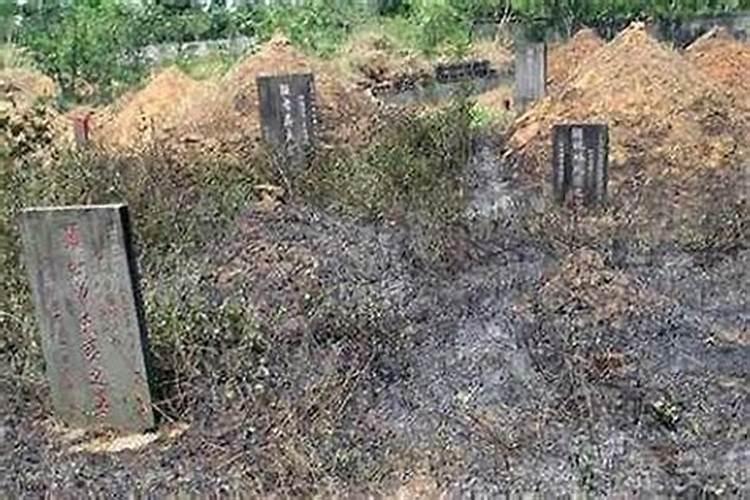 历史上泄露天机的袁天罡、刘伯温,各自结局如何