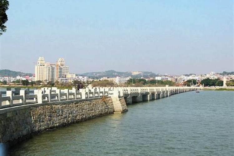 大门口种什么树能旺财