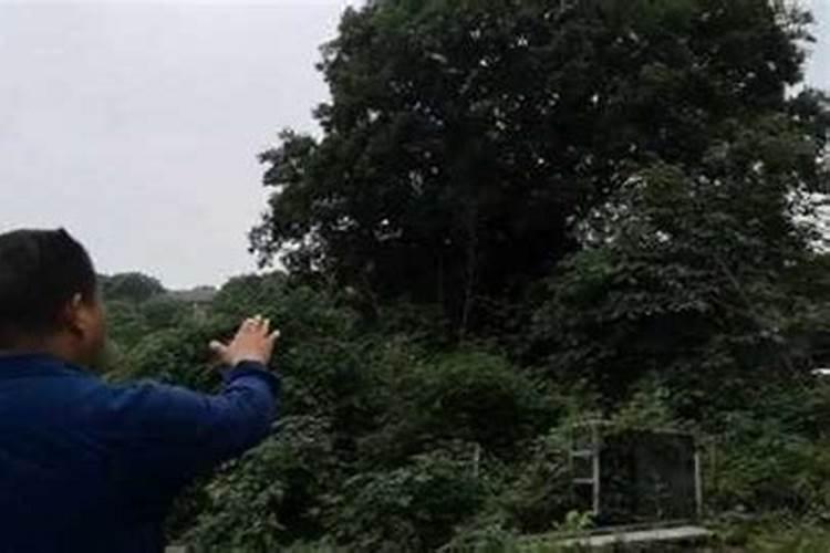 光谷广场的升级改造