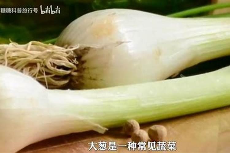请问风水大师坟墓后种大葱什么意思。 (不是做梦)