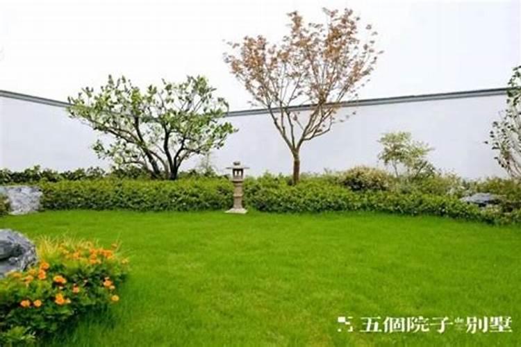 北院适合种什么植物