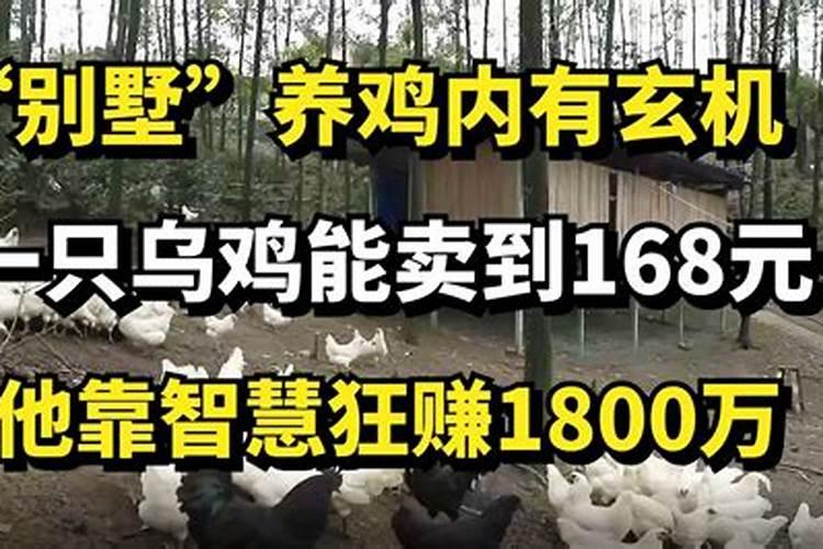 别墅风水主要看什么