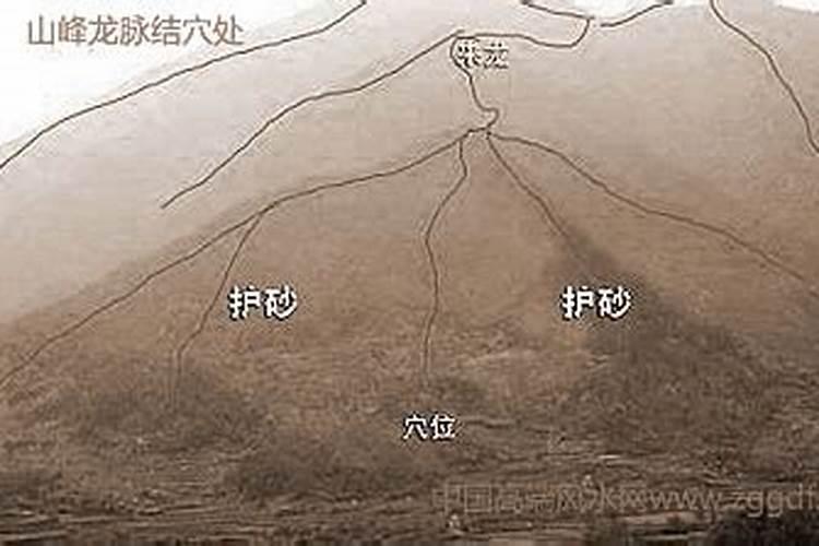复土的意思