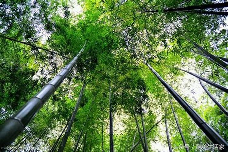 请问如去泰山看日出几月份可以啊