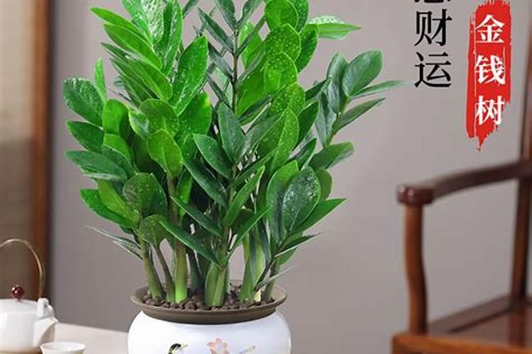 南方房子坐北朝南好还是坐南朝北好？