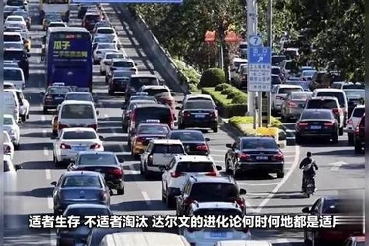 办公室如何布置可以让小人远离
