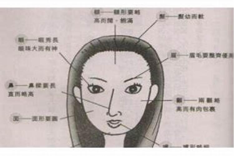 吴仙姑个人简介