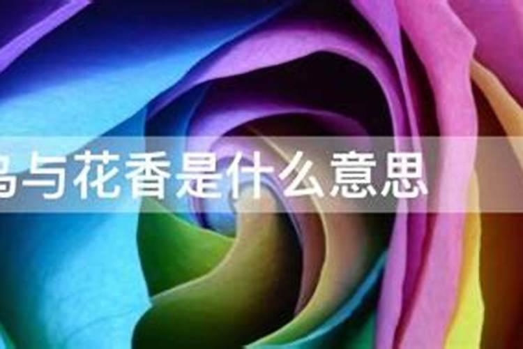 家里养花与风水