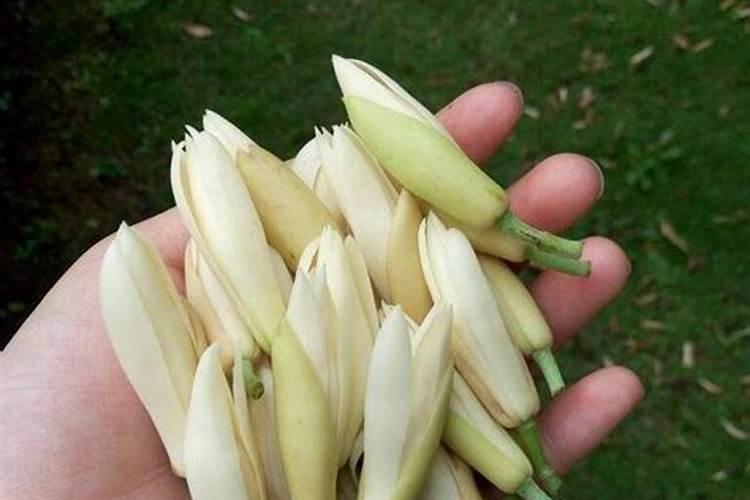 用风水宝物打败小三婚姻保卫战决胜必知