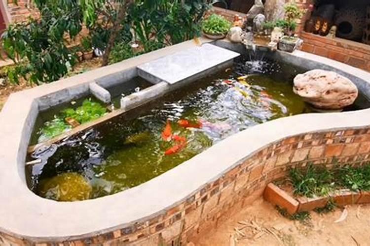 有关风水:在房子的东北方建鱼池行么？室外的,谢谢!