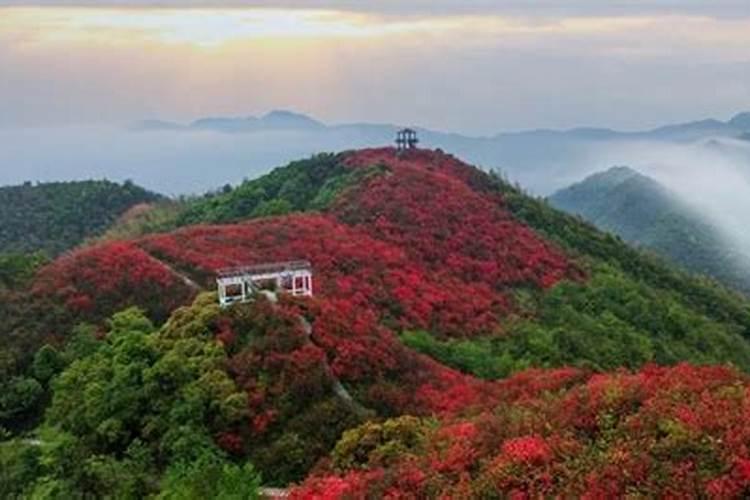 资料 (明)临朐禅堂崮《明衡府重修残碑》