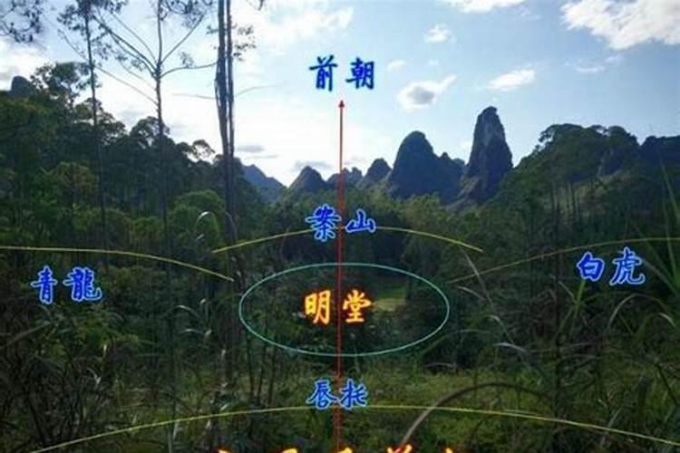 ·风水师可以申请营业执照吗？？