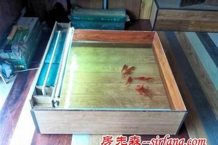 别墅前后花园养鱼风水有什么说法