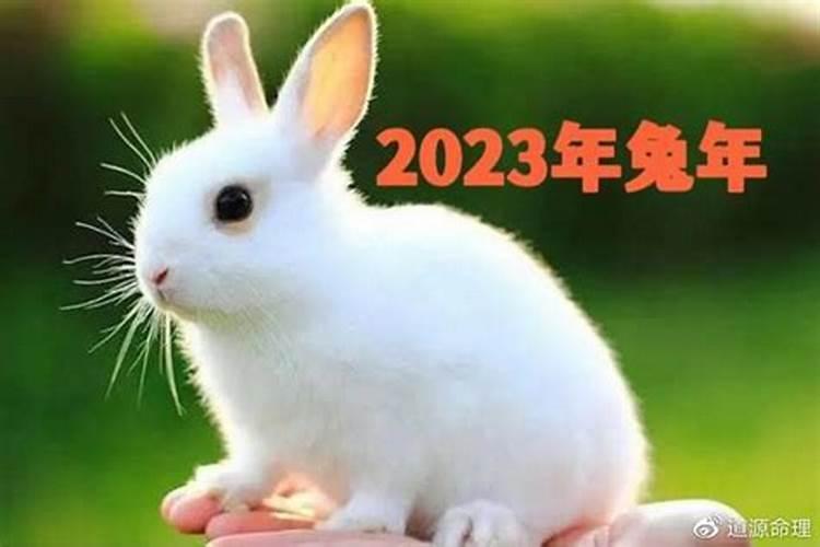 2024兔子戴什么玉最旺