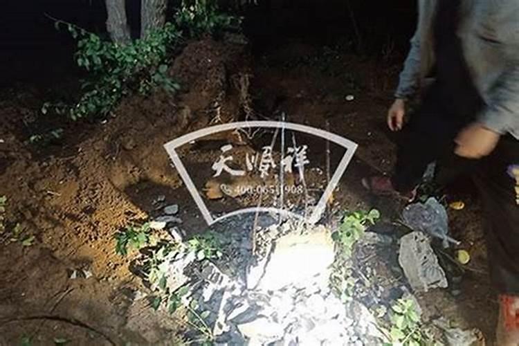关于青龙山人