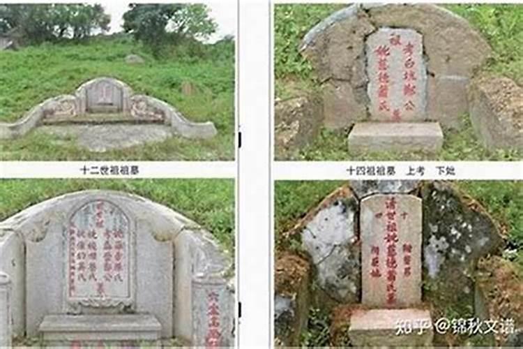 如何从坟地草看墓地好坏