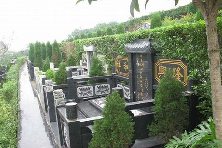 节地生态葬如何叫好又叫座？
